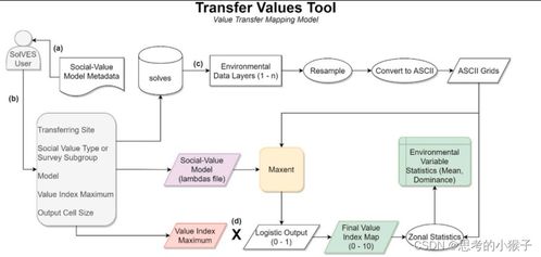 多技術(shù)融合與Solves模型 生態(tài)系統(tǒng)服務(wù)功能社會(huì)價(jià)值評(píng)估及計(jì)算機(jī)網(wǎng)絡(luò)系統(tǒng)工程服務(wù)的拓展應(yīng)用