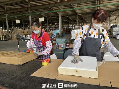 濰坊壽光羊口鎮 一張逆勢增長“成績單”的背后——經營電子商務的智慧與路徑