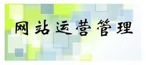 電子商務網(wǎng)站運營 核心要素與關鍵注意事項
